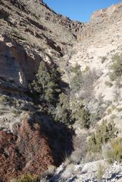 Side canyon off of the canyon overlook loop trail in kershaw ryan state park [wed nov 22 13:57:04 pst 2017]